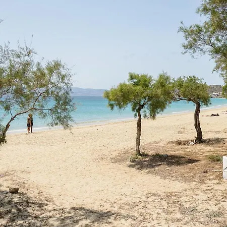 Flerianos Naxos آغيوس بروكوبيوس