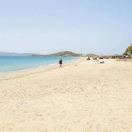 Flerianos Naxos شقة فندقية