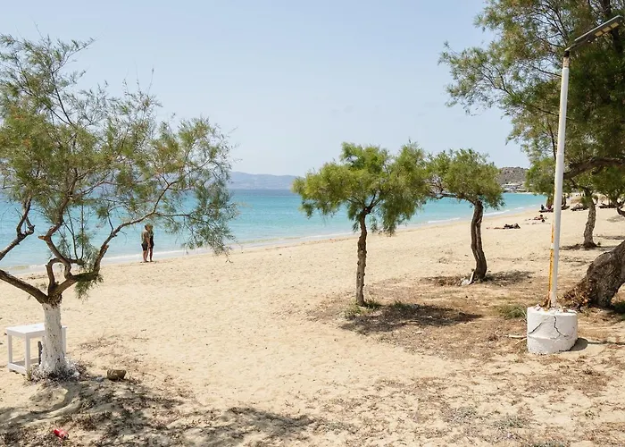 Flerianos Naxos آغيوس بروكوبيوس