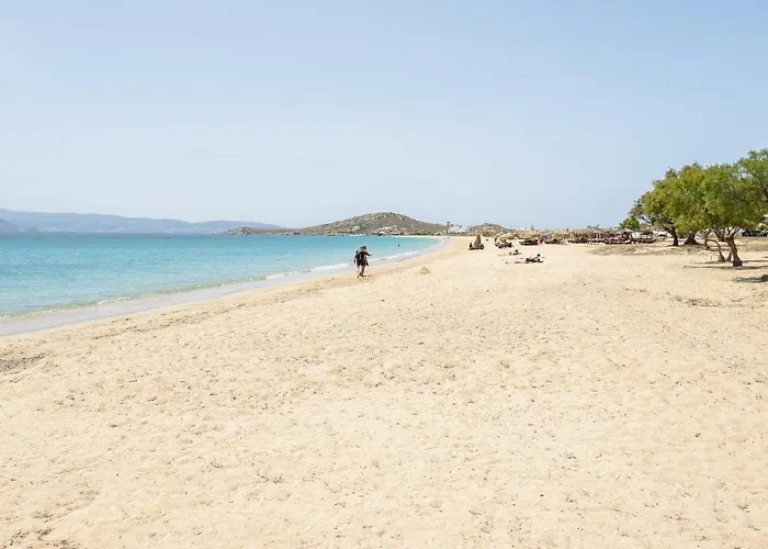 Flerianos Naxos Апарт-отель